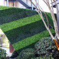 Customized fresh PE artificial plants green wall for privacy safety